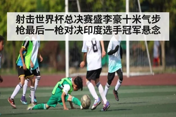 射击世界杯总决赛盛李豪十米气步枪最后一枪对决印度选手冠军悬念 | kaiyun